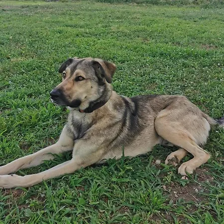 Casa Borriero Charme לינה וארוחת בוקר 4*